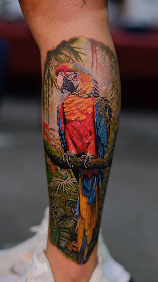 Work by Roberto Lozano