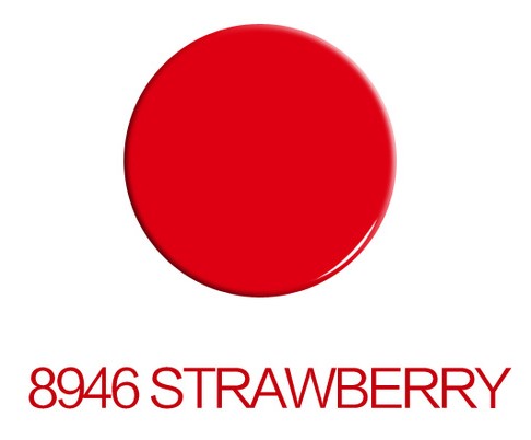 Maser Professional Permanent Makeup Pigment for Lips Brows and Eyeliner